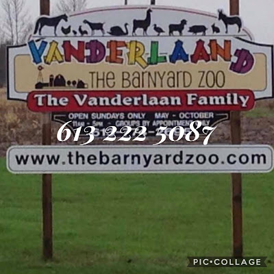 Vanderlaand The Barnyard Zoo