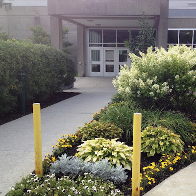 Centre De L'activité Physique | Cégep De Sherbrooke - Pavillon 1