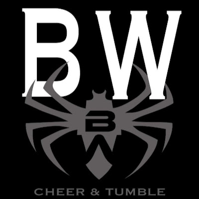 Black Widow Cheer Gym