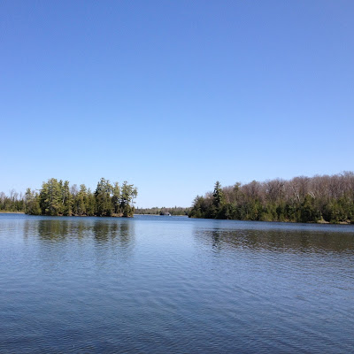 Woodland Camp Site