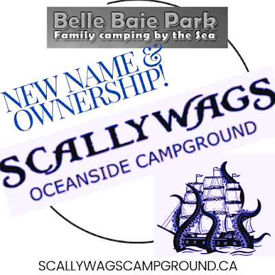 Scallywags Oceanside Campground