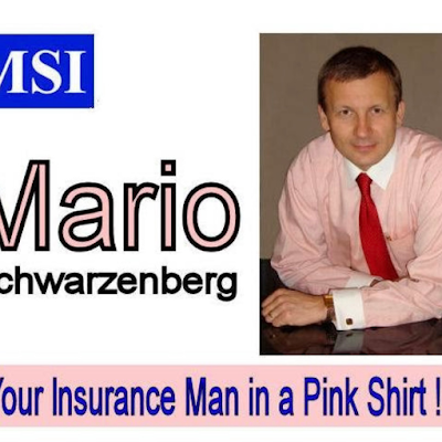 MSI-Mario Schwarzenberg Insurance Services Inc.