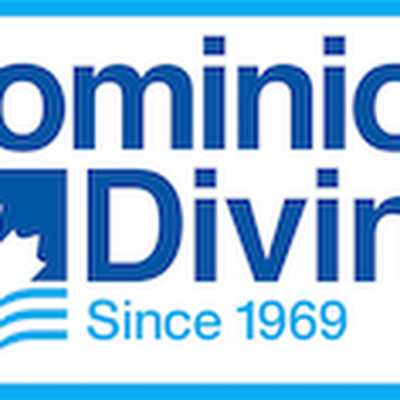 Dominion Diving Limited