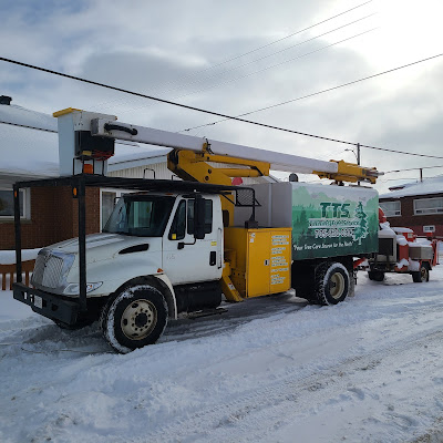 Timmins Tree Service