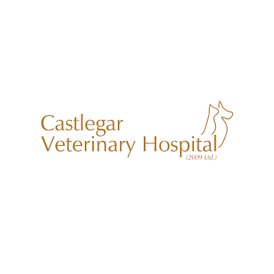 Castlegar Veterinary Hospital