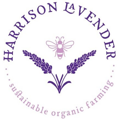 Harrison Lavender