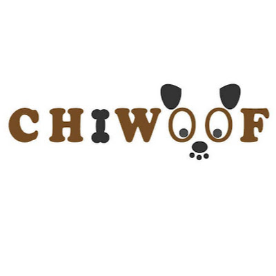 Élevage Chiwoof, Cockapoo élevage, Caniche à vendre