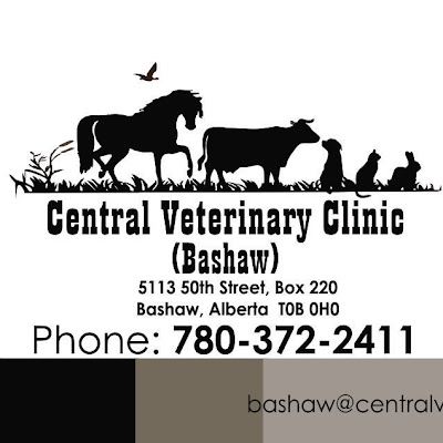 Central Veterinary Clinic (Bashaw)