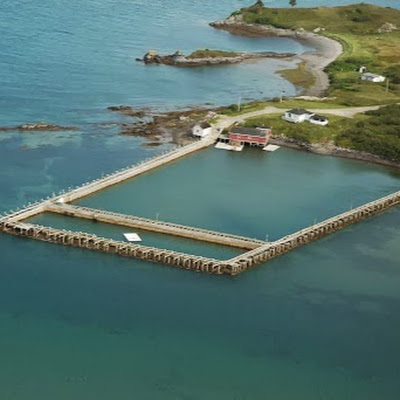 Ship's Lobster Pound LTD