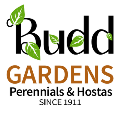 Budd Gardens