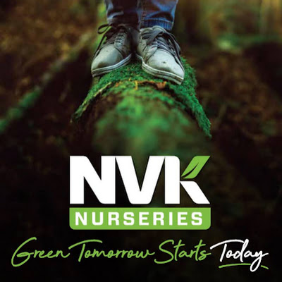 NVK Nurseries