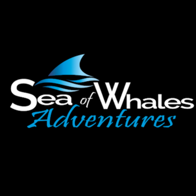 Sea of Whales Adventures