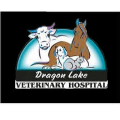 Dragon Lake Veterinary Hospital