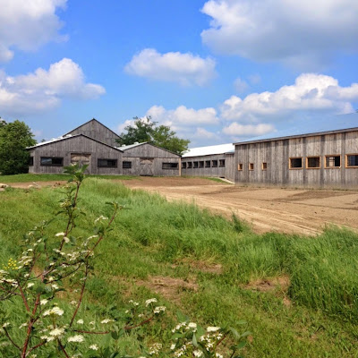 Meadowlarke Stables