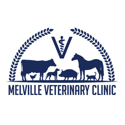 Melville Veterinary Clinic