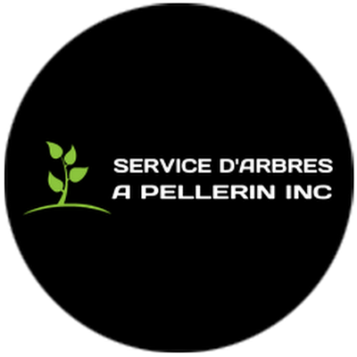 SERVICE D'ARBRES À PELLERIN INC