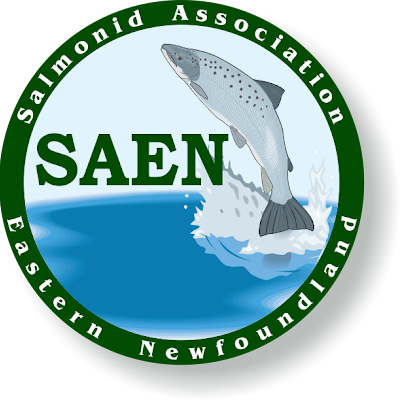 Salmonid Association of Eastern Newfoundland