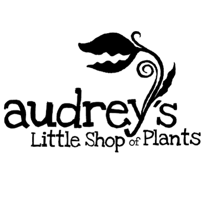 Audrey's Little Shop of Plants