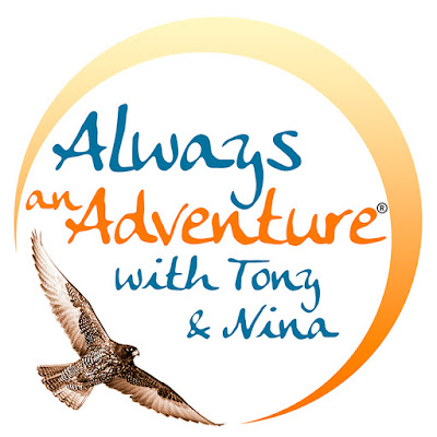 Always An Adventure Inc.