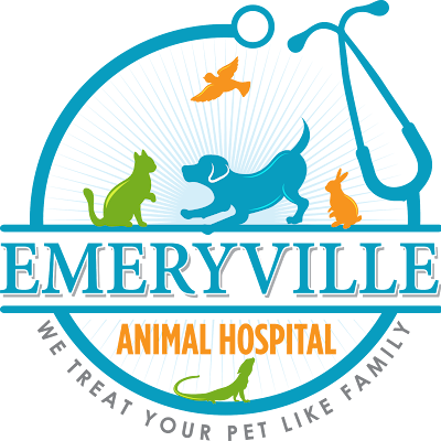 Emeryville Animal Hospital