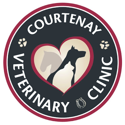 Courtenay Veterinary Clinic - Comox Valley