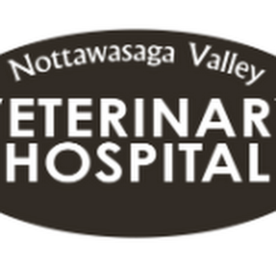 Nottawasaga Valley Veterinary Hospital