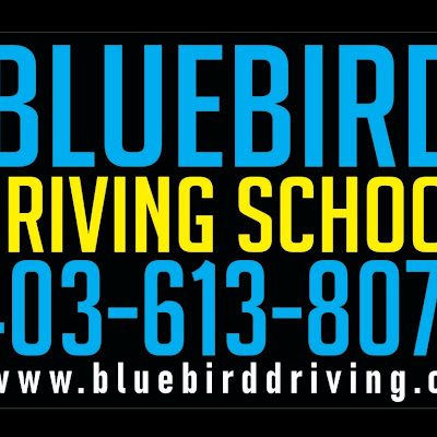 Driving school calgary