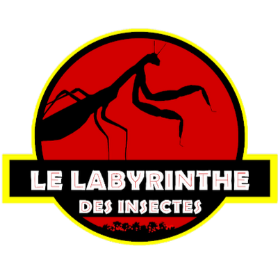 Labyrinthe des insectes