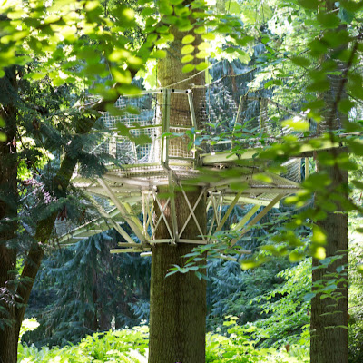 Membre Greenheart TreeWalk dans Vancouver BC