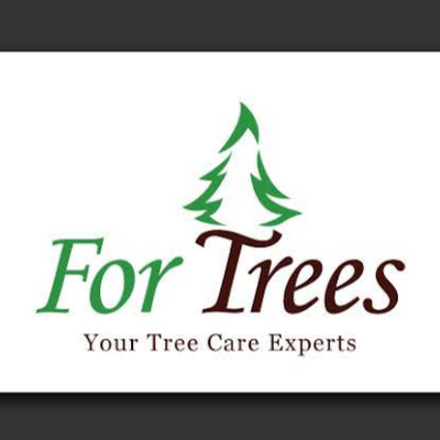 For Trees Company Limited