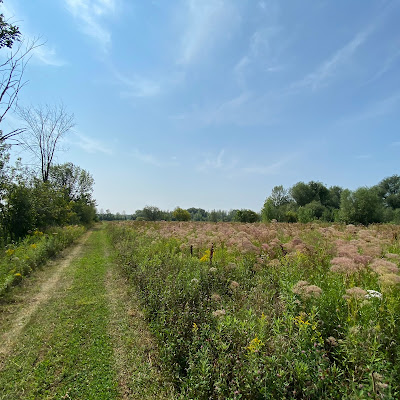 Parc-nature du Cap-Saint-Jacques welcome centre