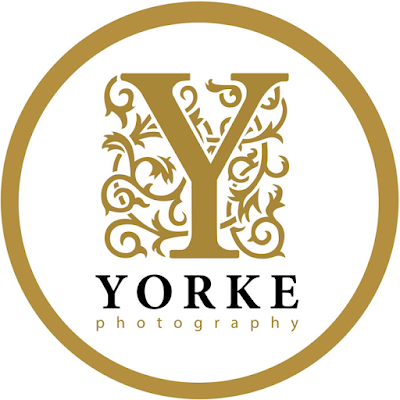 Yorke Photography