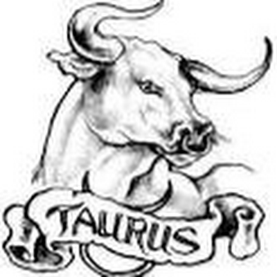 Taurus Industrial Sales Inc