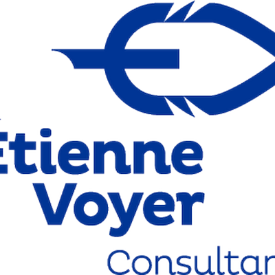 Étienne Voyer Consultant