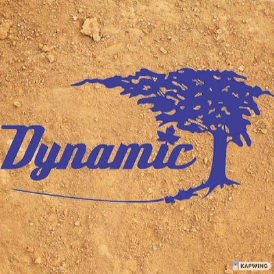 Dynamic Excavation & Landscaping