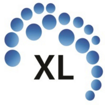 XL Consulting Group