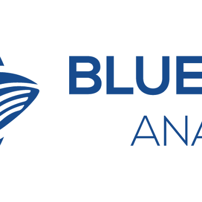 Blue Whale Analytics