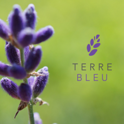 Terre Bleu