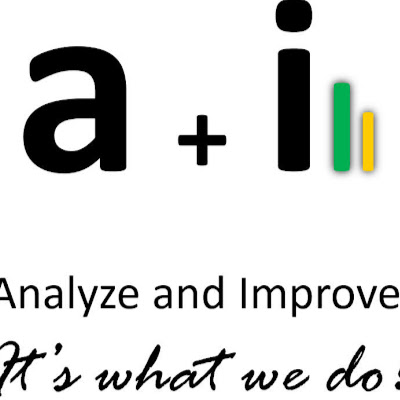 Analyze & Improve Inc